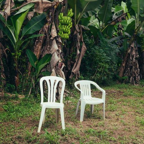 DeBI TiRAR MaS FOToS (2 LP White) - Vinile LP di Bad Bunny - 2