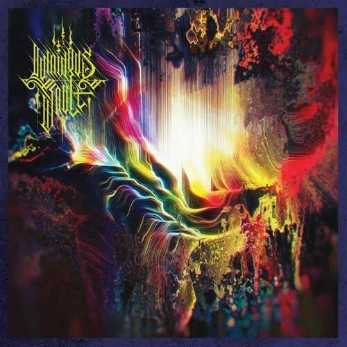 Animate The Emptiness - Vinile LP di Luminous Vault