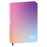 Diario 2027 Teenace 12 mesi Special Standard