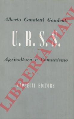 Libreria Piani