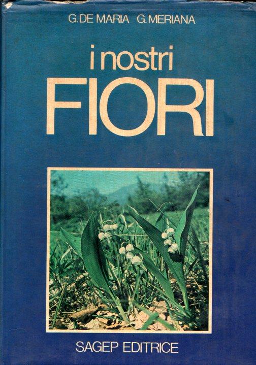 Libroteka di Fattoretti Silvia