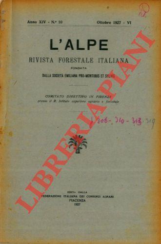 Le piantagioni di Eucalipti eseguite dalle Ferrovie dello Stato in Sicilia - copertina