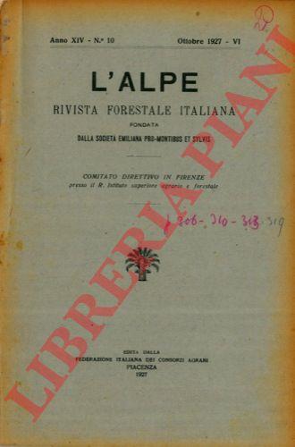 Libreria Piani