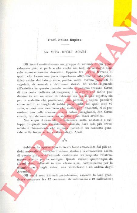 Libreria Piani