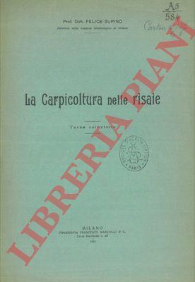 Libreria Piani