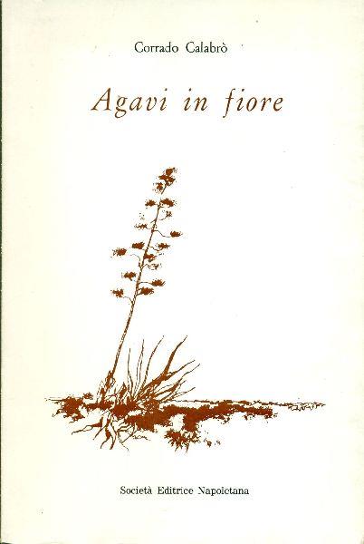Agavi in fiore - copertina