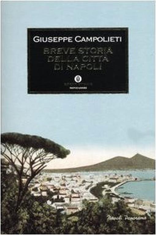Breve storia della città di Napoli - Giuseppe Campolieti - copertina