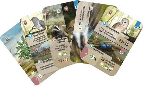 Forest Shuffle: Dartmoor. Gioco da tavolo - 2