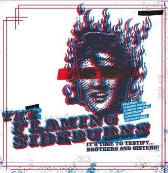 It'S Time To Testify... - Vinile LP di Flaming Sideburns