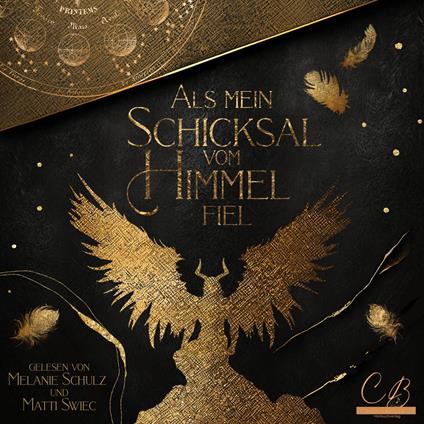 Als mein Schicksal vom Himmel fiel