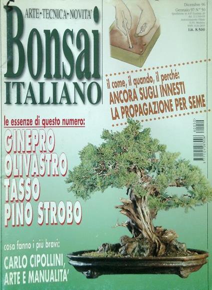 Bonsai italiano N. 50/Dicembre 96 Gennaio 97 - copertina