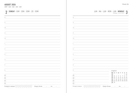 Diario accademico 2026-2027 Conscious A6 Giornaliero Antracite - 2