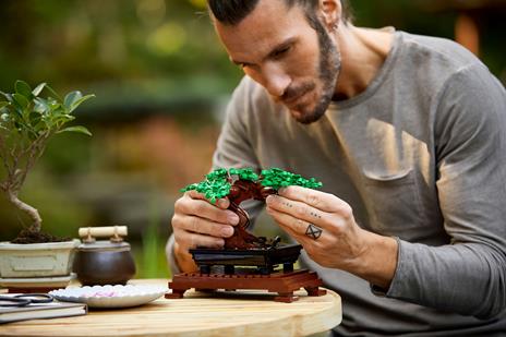 LEGO Botanicals (10281). Albero Bonsai - 9