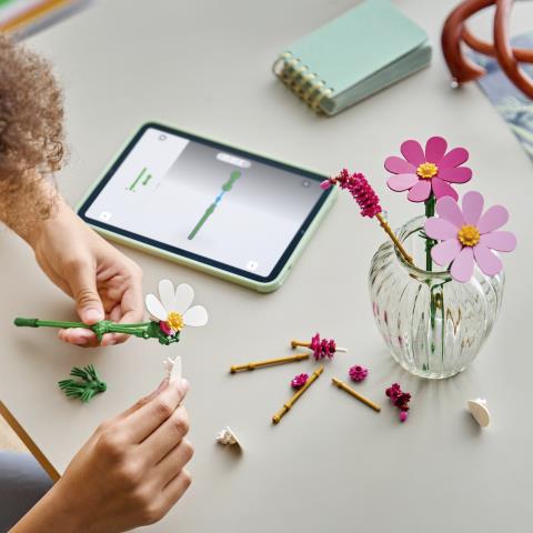 LEGO Botanicals (11514). Fiori di Cosmos - 4