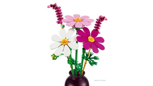LEGO Botanicals (11514). Fiori di Cosmos - 10