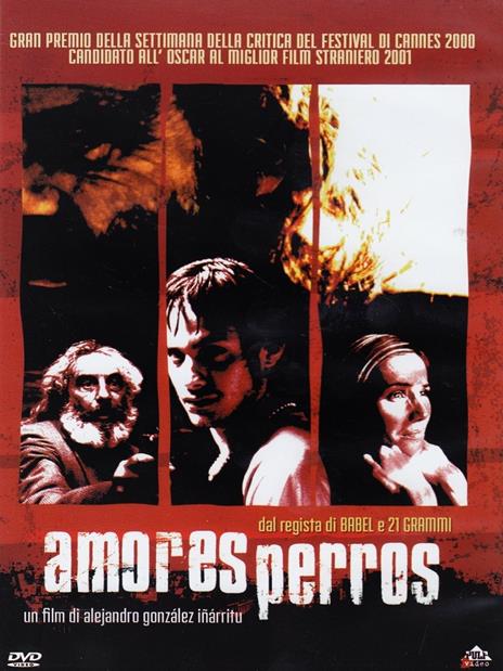 Amores perros di Alejandro González Iñárritu - DVD