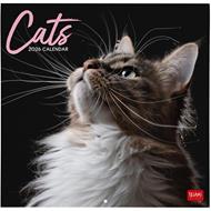 Calendario 2026 da Parete  - Cats - 30 x 29 cm