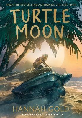 Turtle Moon - Hannah Gold - cover
