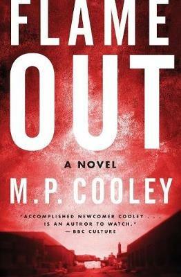 Flame Out: A Novel - M. P. Cooley - cover