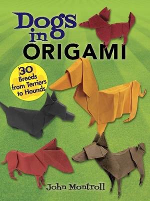 Dogs in Origami: 30 Breeds from Terriers to Hounds - John Montroll - cover