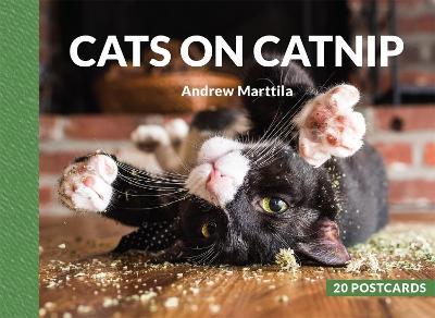 Cats on Catnip: 20 Postcards - Andrew Marttila - cover