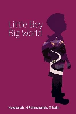 Little Boy Big World - Hayatullah H Rahmatullah M Naim - cover