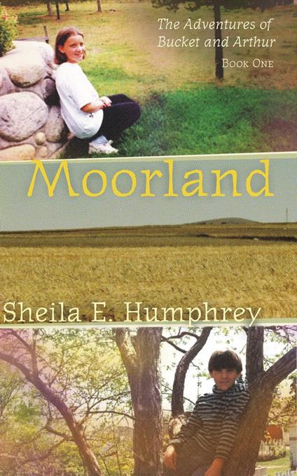 Moorland