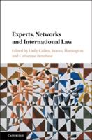 Experts, Networks and International Law - cover