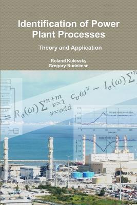 Identification of Power Plant Processes - Theory and Application - Roland Kulessky,Gregory Nudelman - cover