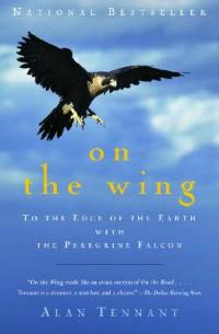 On the Wing: To the Edge of the Earth with the Peregrine Falcon - Alan Tennant - cover