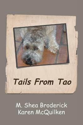 Tails from Tao - M Shea Broderick,Karen McQuilken - cover