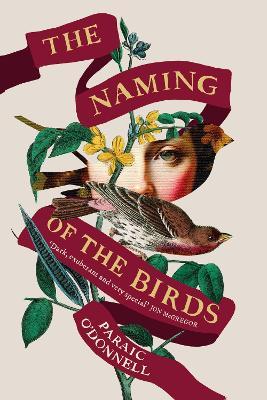 The Naming of the Birds - Paraic O'Donnell - cover