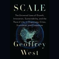 Scale