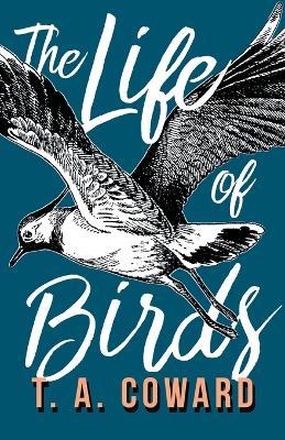 The Life of Birds - T a Coward - cover