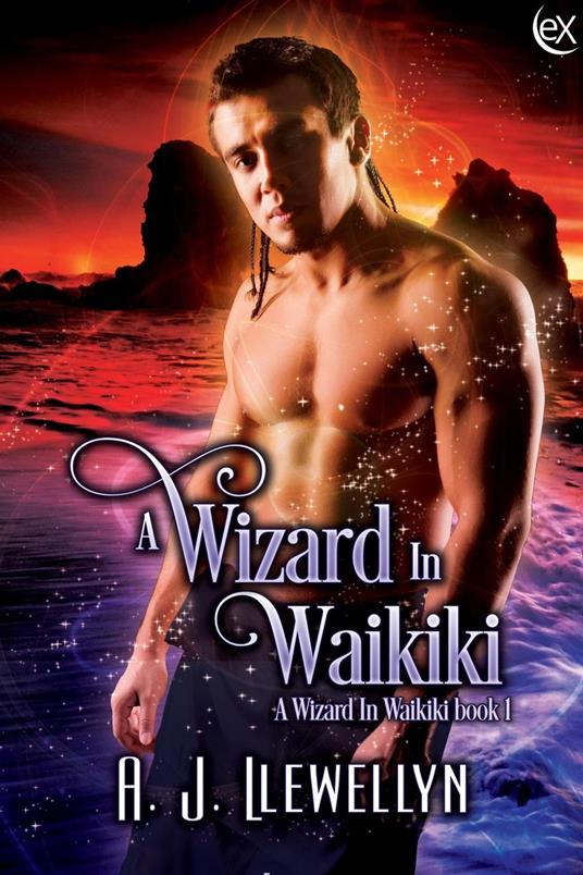 A Wizard in Waikiki