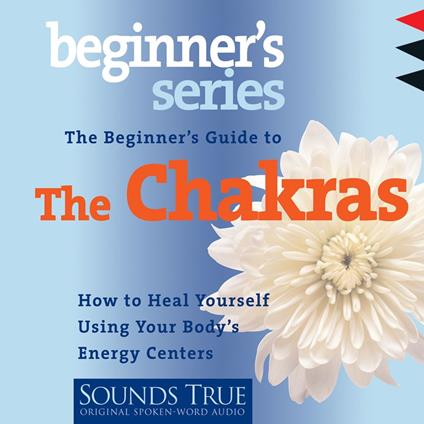 The Beginner’s Guide to the Chakras