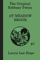 The Bobbsey Twins at Meadow Brook - Laura Lee Hope - cover