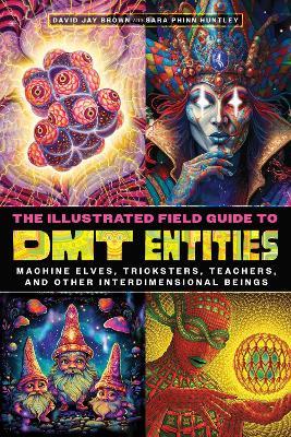 The Illustrated Field Guide to DMT Entities: Machine Elves, Tricksters, Teachers, and Other Interdimensional Beings - David Jay Brown,Sara Phinn Huntley - cover