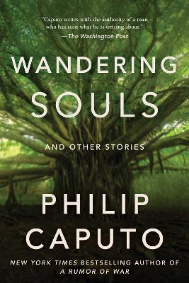 Wandering Souls: And Other Stories - Philip Caputo - cover