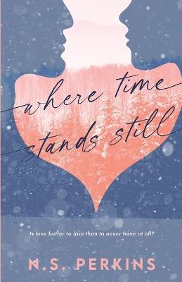 Where Time Stands Still - N S Perkins - cover