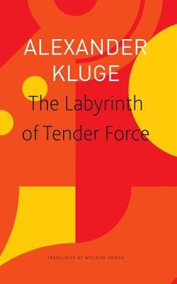 The Labyrinth of Tender Force – 166 Love Stories - Alexander Kluge,Wieland Hoban - cover