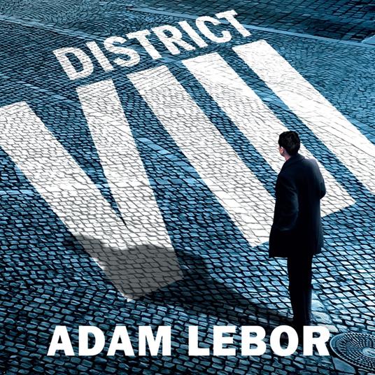 District VIII