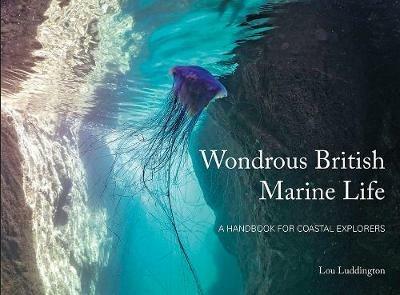 Wondrous British Marine Life: A handbook for coastal explorers - Lou Ludington - cover