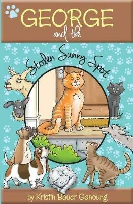 George and the Stolen Sunny Spot - Kristin Ganoung - cover