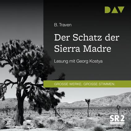 Der Schatz der Sierra Madre (Gekürzt)