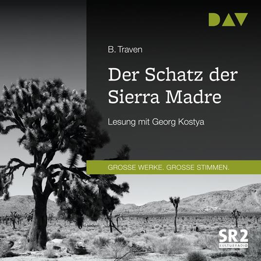 Der Schatz der Sierra Madre (Gekürzt)