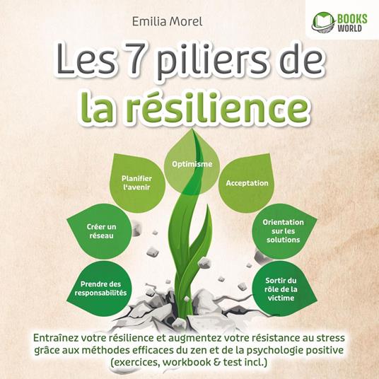 Les 7 piliers de la résilience: Entraînez votre résilience et augmentez votre résistance au stress grâce aux méthodes efficaces du zen et de la psychologie positive