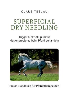 Superficial Dry Needling: Triggerpunkt Akupunktur und Myofasziale Tiefenmassage, Stresspunktmassage, Therapeutische Synergie - Claus Teslau - cover