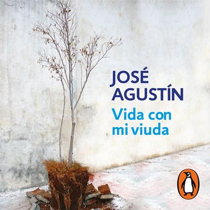Vida con mi viuda