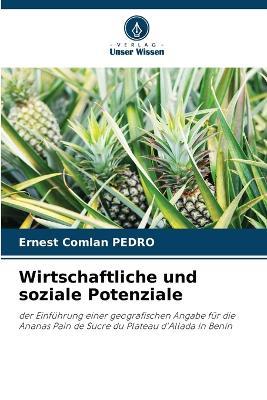 Wirtschaftliche und soziale Potenziale - Ernest Comlan Pedro - cover